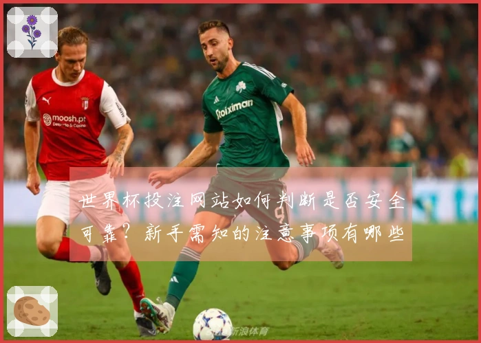 世界杯投注网站如何判断是否安全可靠?新手需知的注意事项有哪些?